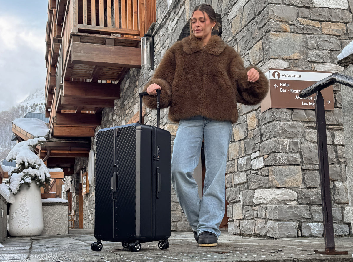 Valise de soute
